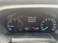 Ford Transit Transit Pritsche DoKa 2,0 EcoBlue L2H1 350 Trend Weiß - thumbnail 9