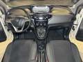 Lancia Ypsilon Ypsilon 1.2 8v Gold ecochic Gpl 69cv E6 - thumbnail 14
