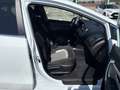 Kia Ceed / cee'd 1.6 CRDI 136CH ISG ACTIVE BUSINESS Alb - thumbnail 12