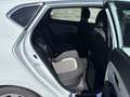 Kia Ceed / cee'd 1.6 CRDI 136CH ISG ACTIVE BUSINESS Alb - thumbnail 14