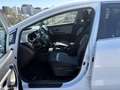 Kia Ceed / cee'd 1.6 CRDI 136CH ISG ACTIVE BUSINESS Alb - thumbnail 8