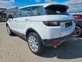 Land Rover Range Rover Evoque SE Bianco - thumbnail 8