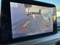 Ford Focus 1.0 EcoBoost Hybrid 125CV 5p. Active Blu/Azzurro - thumbnail 14