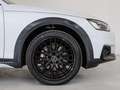 Audi A4 allroad 40 TDI quattro S-Tronic 150kW Bianco - thumbnail 20