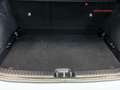 Kia Ceed / cee'd 1.0 T-GDI Concept 100 Bianco - thumbnail 13