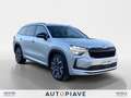 Skoda Kodiaq Kodiaq 2.0 TDI EVO SCR DSG 7 posti Sportline 130 Zilver - thumbnail 7