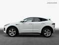 Jaguar E-Pace D200 AWD R-Dynamic SE Weiß - thumbnail 6