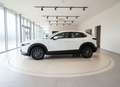 Mazda CX-30 e-SKYACTIV G MHEV 90kW Prime-line Blanc - thumbnail 6