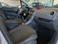 Opel Meriva Meriva 1.3 cdti ecoflex Cosmo 95cv Grigio - thumbnail 12