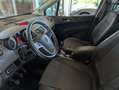 Opel Meriva Meriva 1.3 cdti ecoflex Cosmo 95cv Grigio - thumbnail 13