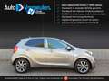 Kia Picanto DynamicPlusLine 1.0 Gris - thumbnail 1