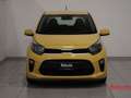 Kia Picanto Picanto 1.0 12V 5 porte Urban Giallo - thumbnail 3