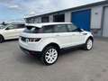 Land Rover Range Rover Evoque Pure Weiß - thumbnail 6
