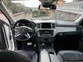 Mercedes-Benz ML 250 bt Sport 4matic auto Bianco - thumbnail 6