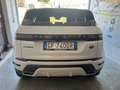 Land Rover Range Rover Evoque Range Rover Evoque 2.0d i4 mhev R-Dynamic awd163cv Weiß - thumbnail 6