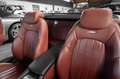 Mercedes-Benz SL 55 AMG Kompressor Evolution #deutsches Fzg. Silber - thumbnail 23