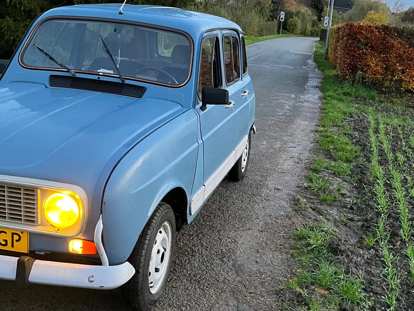 Renault R 4 GTL Blauw - 1