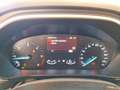 Ford Focus WAGON 1.5 Ecoblue 120cv Business - thumbnail 8