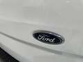 Ford Transit Custom Van 2.0 TDCI 96kW 300 L1 Trend Blanco - thumbnail 40