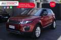 Land Rover Range Rover Evoque Land Rover Range Rover Evoque 2.0 TD4 150 CV 5p. Roşu - thumbnail 11
