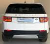 Land Rover Discovery Sport Discovery Sport 2.0 eD4 163 CV 2WD SE Weiß - thumbnail 5