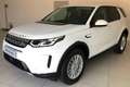 Land Rover Discovery Sport Discovery Sport 2.0 eD4 163 CV 2WD SE Blanco - thumbnail 7