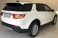 Land Rover Discovery Sport Discovery Sport 2.0 eD4 163 CV 2WD SE Weiß - thumbnail 4