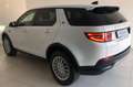 Land Rover Discovery Sport Discovery Sport 2.0 eD4 163 CV 2WD SE Blanco - thumbnail 6