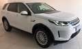 Land Rover Discovery Sport Discovery Sport 2.0 eD4 163 CV 2WD SE Weiß - thumbnail 2