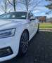 Audi A5 A5 Sportback 40 2.0 tdi 190cv s-tronic Bianco - thumbnail 2