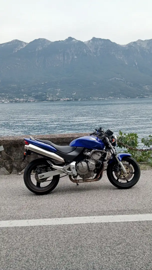 Honda Hornet sport Blu/Azzurro - 2