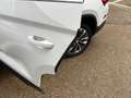 Skoda Kodiaq 4x4 Ambition TDI DSG Weiß - thumbnail 10