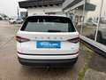 Skoda Kodiaq 4x4 Ambition TDI DSG Weiß - thumbnail 5