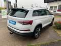 Skoda Kodiaq 4x4 Ambition TDI DSG Weiß - thumbnail 6