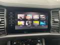 Skoda Kodiaq 4x4 Ambition TDI DSG Weiß - thumbnail 25