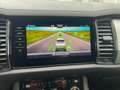 Skoda Kodiaq 4x4 Ambition TDI DSG Weiß - thumbnail 29