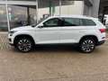Skoda Kodiaq 4x4 Ambition TDI DSG Weiß - thumbnail 3