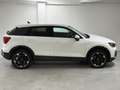 Audi Q2 35 TFSI 150ch Design Luxe S tronic 7 Blanc - thumbnail 4
