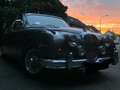 Jaguar Daimler MK2 V8 1967 Grau - thumbnail 13