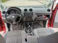 Volkswagen Caddy Life Fan Caddy - TÜV 03/2026 Rot - thumbnail 19