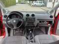 Volkswagen Caddy Life Fan Caddy - TÜV 03/2026 Rot - thumbnail 18