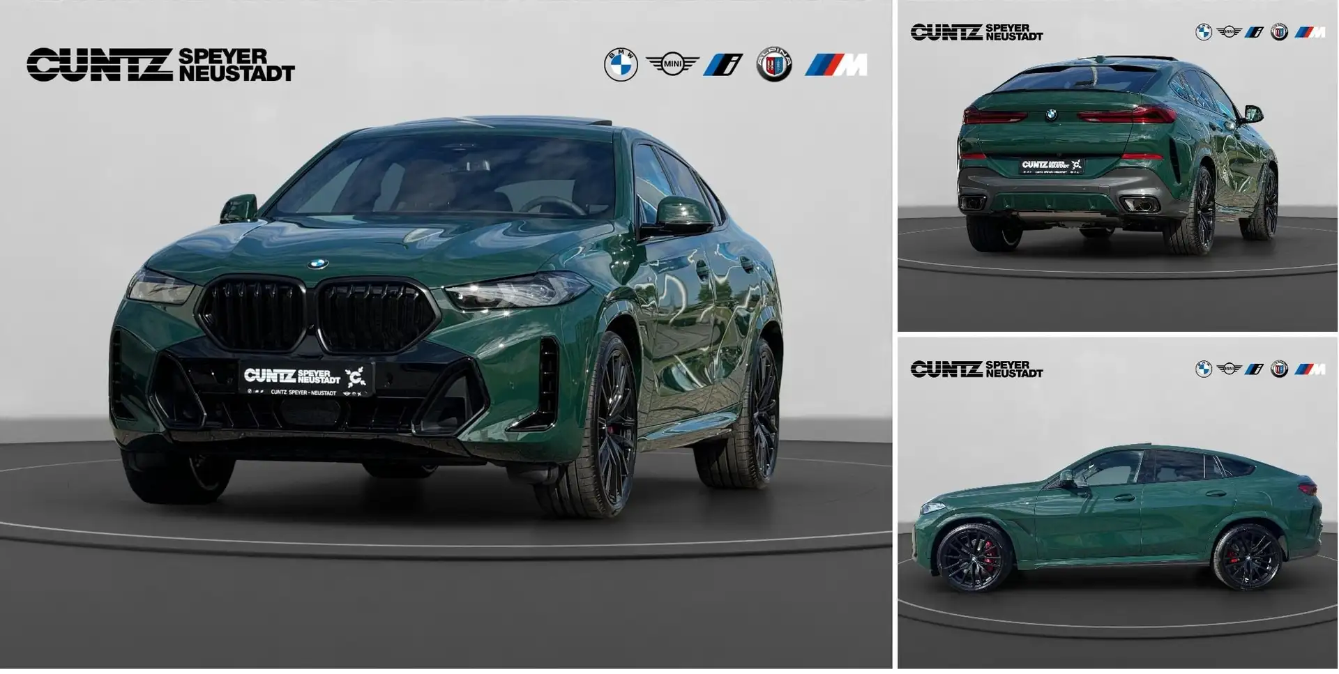 BMW X6 xDrive40d M Sportpaket Pro 2-Achs Luftfederung Vert - 1
