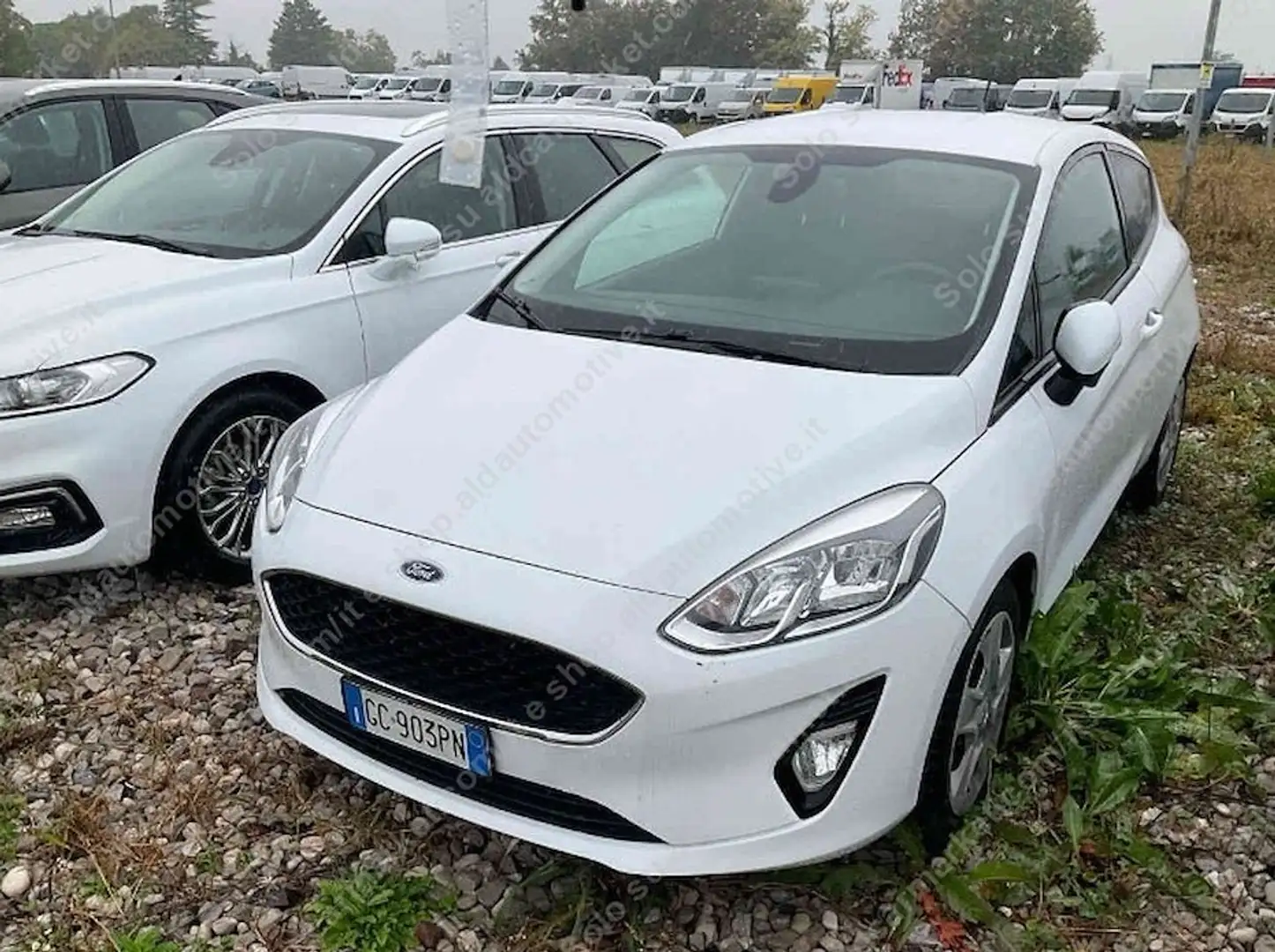 Ford Fiesta Fiesta 5p 1.5 ecoblue Business 85cv s VAN Bianco - 1