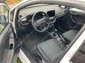 Ford Fiesta Fiesta 5p 1.5 ecoblue Business  85cv s VAN Bianco - thumbnail 4