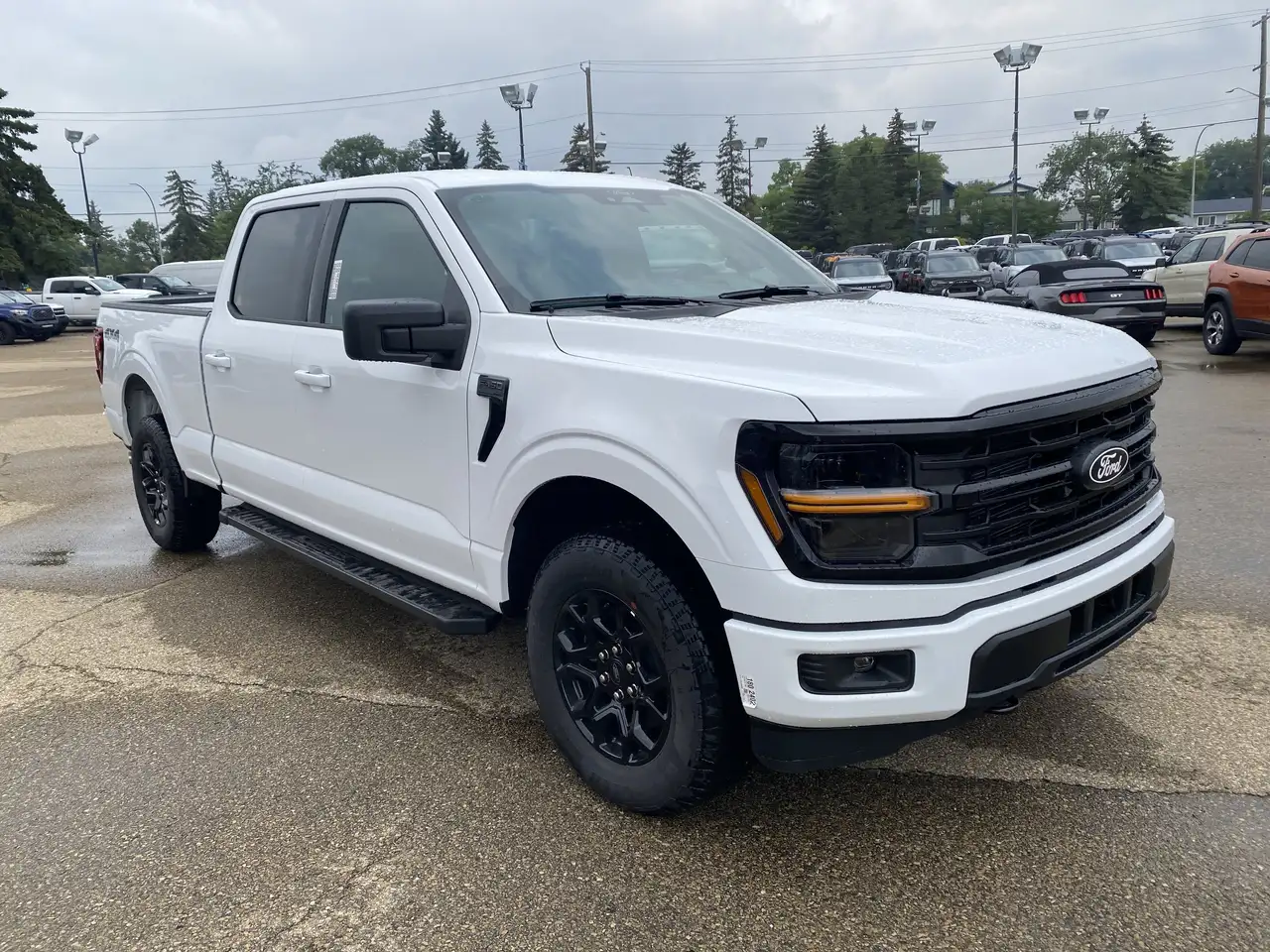 Ford F 150 fotografie Ford F 150
