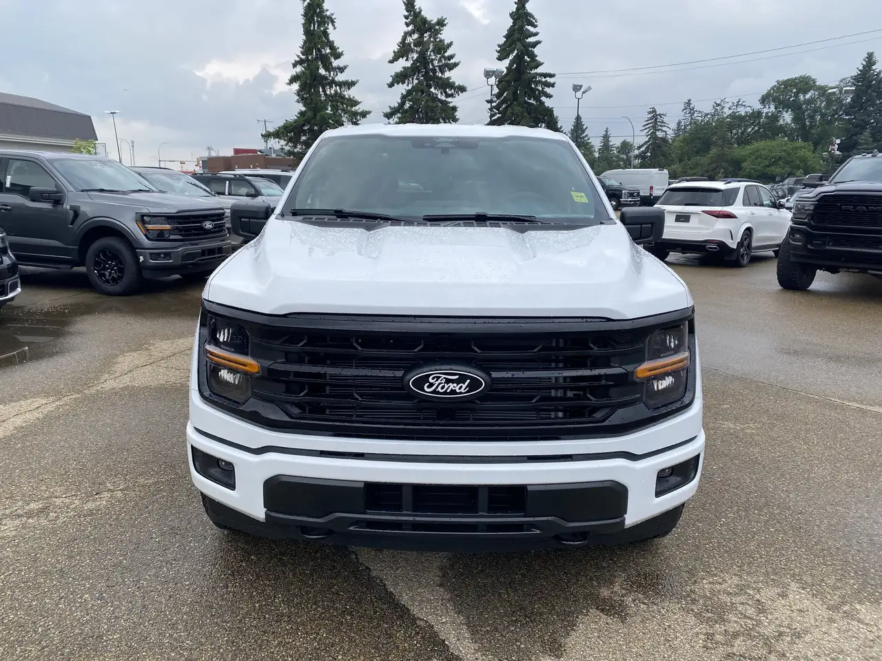 Ford F 150 fotografie Ford F 150