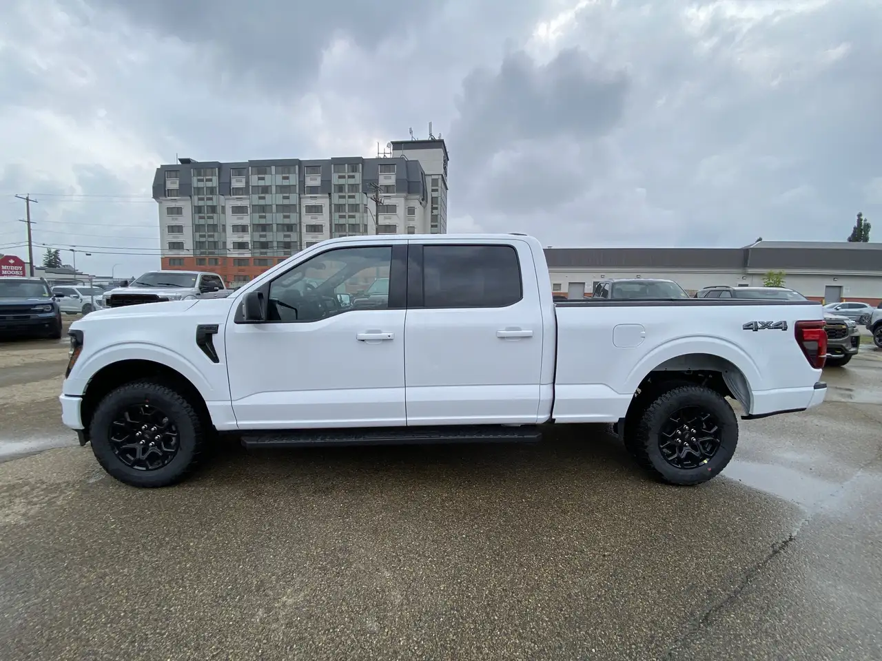 Ford F 150 fotografie Ford F 150