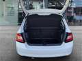 Skoda Fabia Ambition 1.0 TSI °AHK°PDC°SHZ° Blanc - thumbnail 6