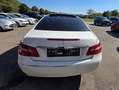 Mercedes-Benz E 250 E 250 CDI BlueEfficiency (207.303) Weiß - thumbnail 3