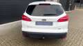 Ford Focus Wagon 125pk Titanium D. RIEM V.V. | CLIMA | CRUISE Weiß - thumbnail 31